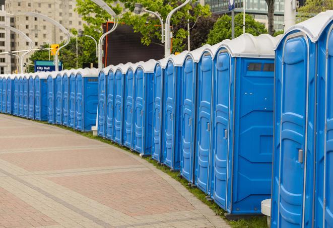 Seasonal porta potty units set up at a Mason, Michigan venue